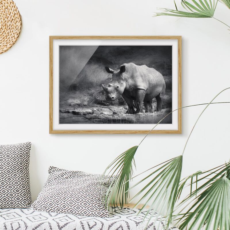 

Póster enmarcado - Lonesome Rhinoceros Dimensión LxA: 40cm x 55cm, Marco: Roble