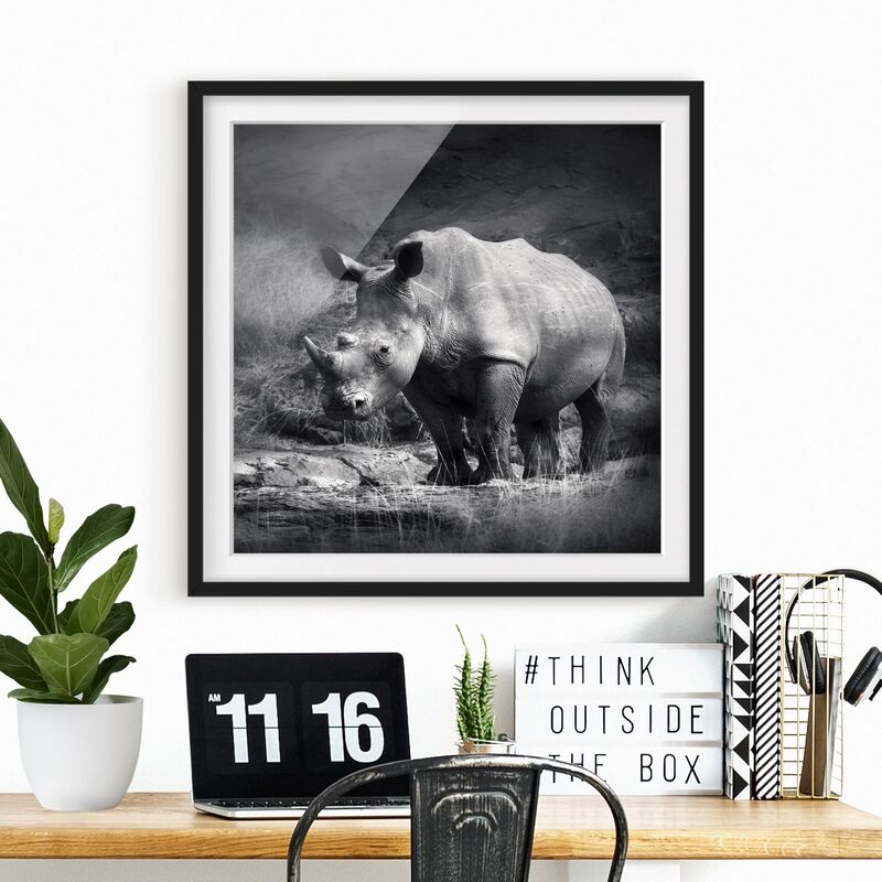 

Póster enmarcado - Lonesome Rhinoceros Dimensión LxA: 30cm x 30cm, Marco: Negro