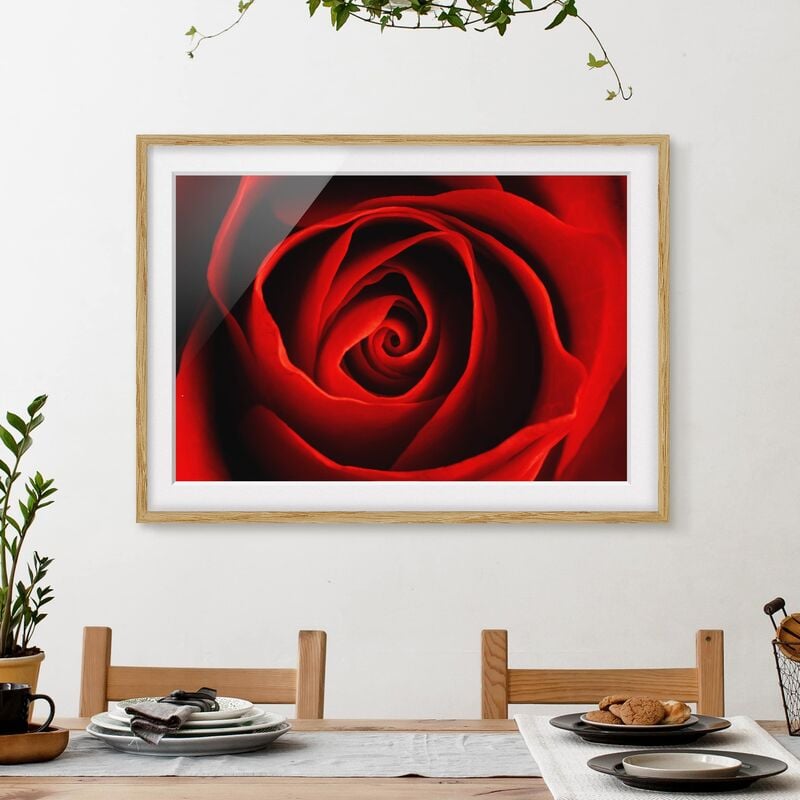 

Póster enmarcado - Lovely Rose Dimensión LxA: 70cm x 100cm, Marco: Roble