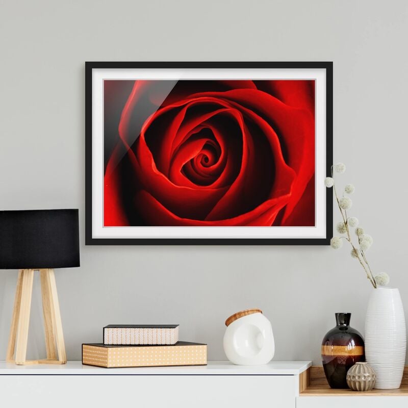 

Póster enmarcado - Lovely Rose Dimensión LxA: 18cm x 24cm, Marco: Negro
