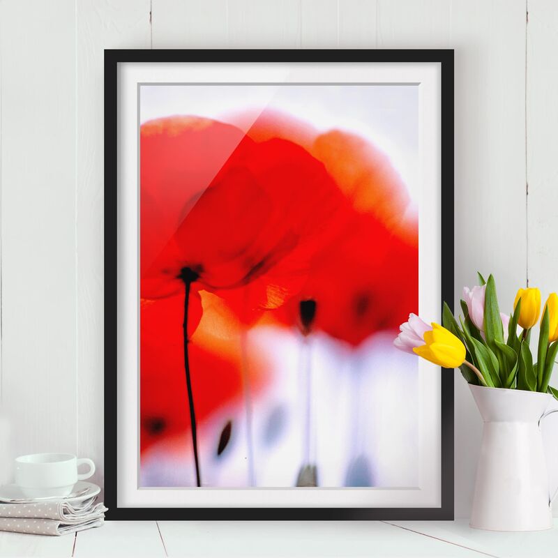 

Póster enmarcado - Magic Poppies Dimensión LxA: 100cm x 70cm, Marco: Negro