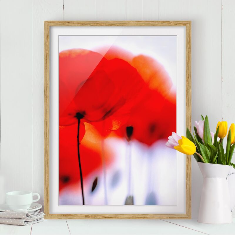 

Póster enmarcado - Magic Poppies Dimensión LxA: 100cm x 70cm, Marco: Roble