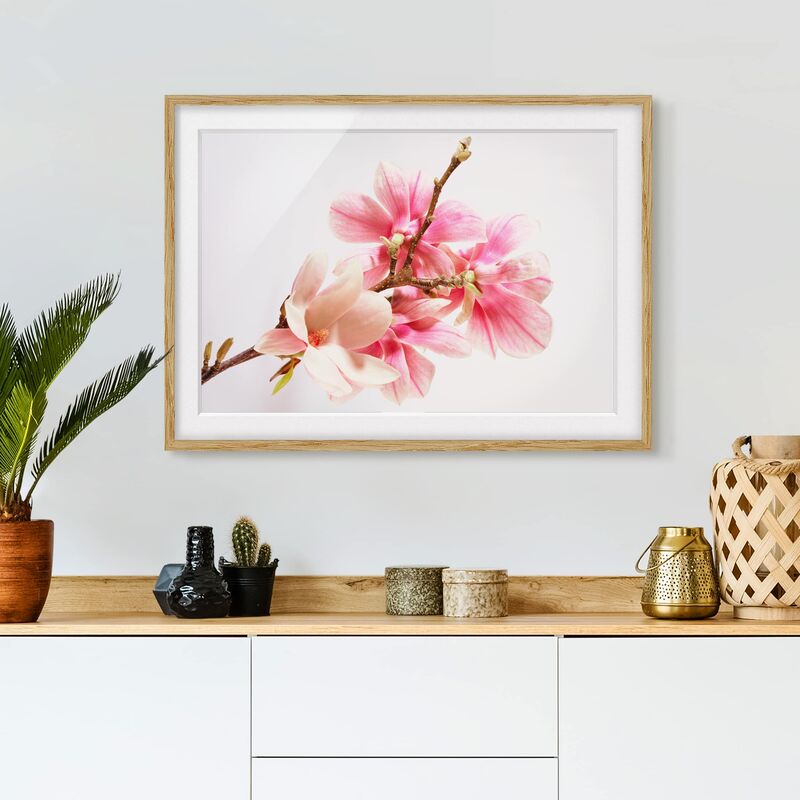 

Póster enmarcado - Magnolia Blossoms Dimensión LxA: 70cm x 100cm, Marco: Roble