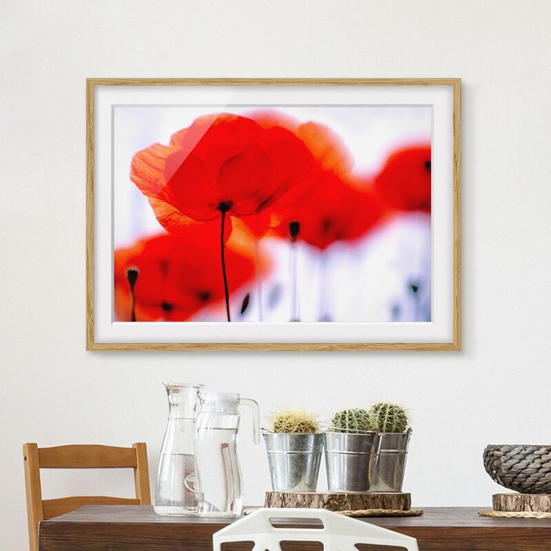 

Póster enmarcado - Magic Poppies Dimensión LxA: 30cm x 40cm, Marco: Roble