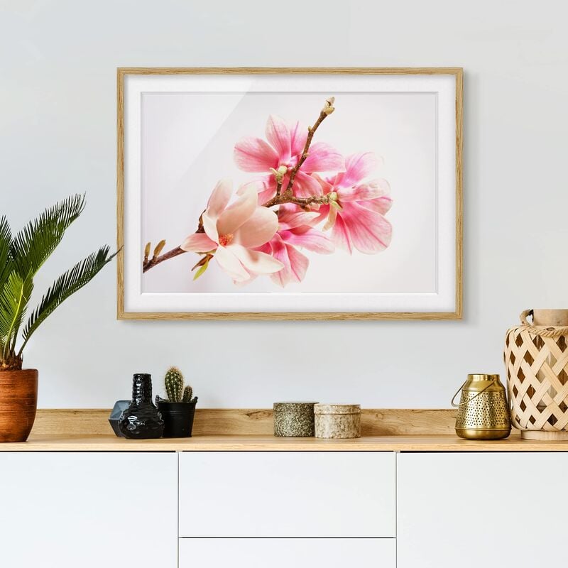 

Póster enmarcado - Magnolia Blossoms Dimensión LxA: 30cm x 40cm, Marco: Roble