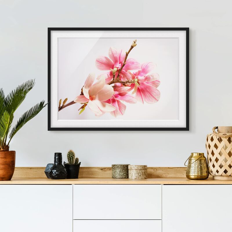 

Póster enmarcado - Magnolia Blossoms Dimensión LxA: 18cm x 24cm, Marco: Negro