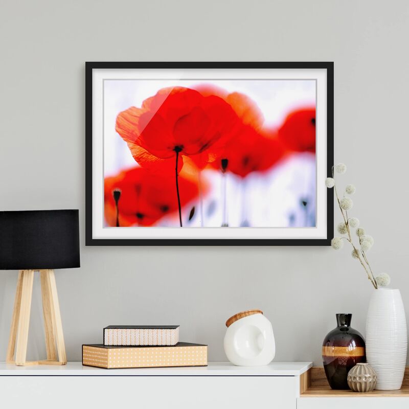 

Póster enmarcado - Magic Poppies Dimensión LxA: 70cm x 100cm, Marco: Negro