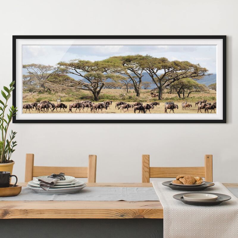 

Póster enmarcado - Mandria Di Gnu Nella Savana Dimensión LxA: 20cm x 50cm, Marco: Negro