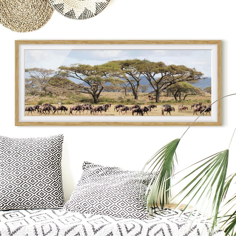 

Póster enmarcado - Mandria Di Gnu Nella Savana Dimensión LxA: 40cm x 100cm, Marco: Roble