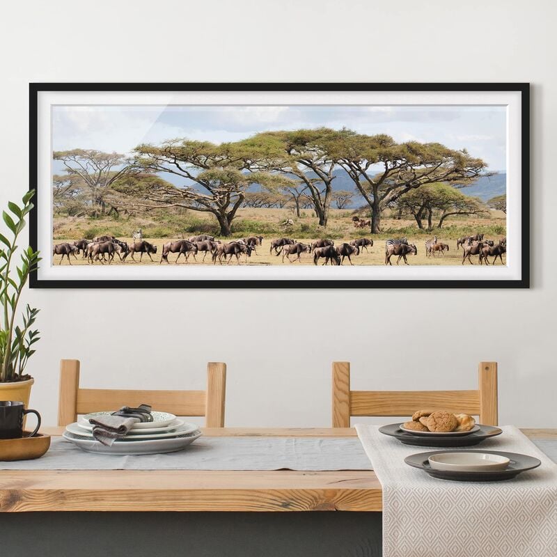 

Póster enmarcado - Mandria Di Gnu Nella Savana Dimensión LxA: 50cm x 130cm, Marco: Negro