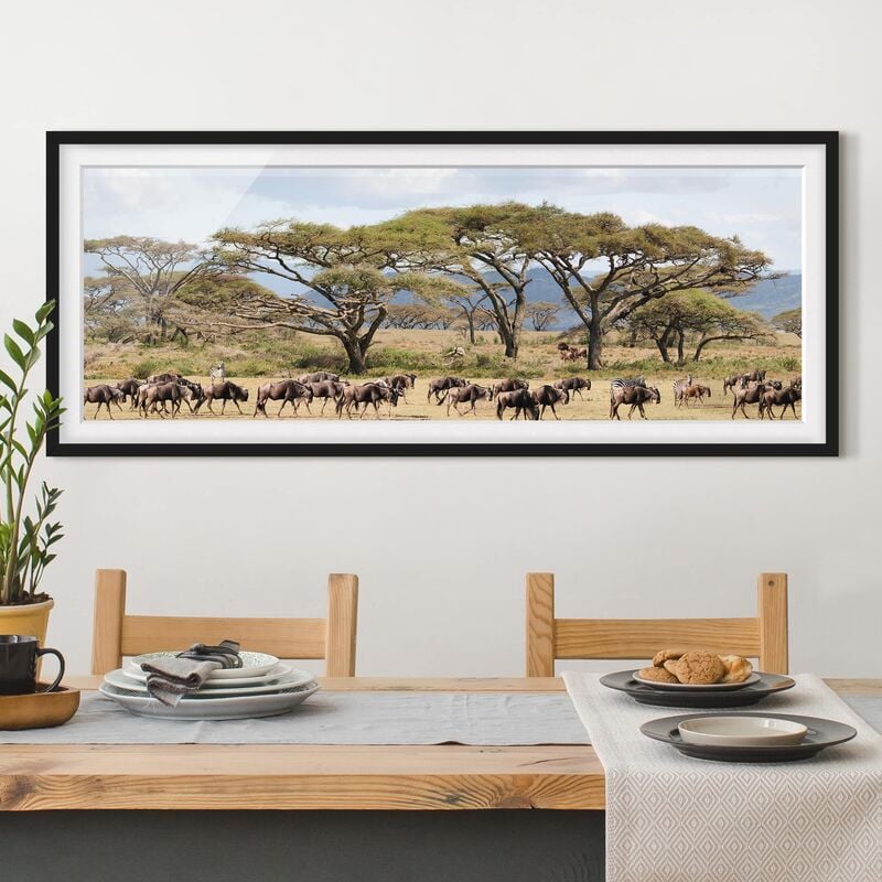 

Póster enmarcado - Mandria Di Gnu Nella Savana Dimensión LxA: 40cm x 100cm, Marco: Negro