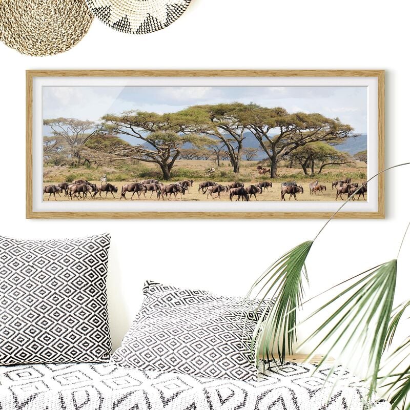 

Póster enmarcado - Mandria Di Gnu Nella Savana Dimensión LxA: 20cm x 50cm, Marco: Roble