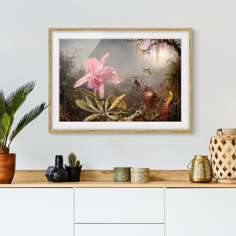 

Póster enmarcado - Martin Johnson Heade - orchidea e Tre colibrì Dimensión LxA: 40cm x 55cm, Marco: Roble