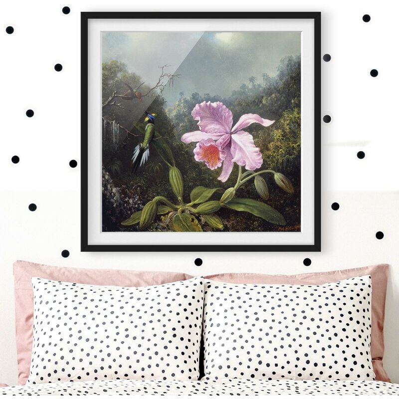 

Póster enmarcado - Martin Johnson Heade - Natura morta con orchidee e due colibrì Dimensión LxA: 20cm x 20cm, Marco: Negro