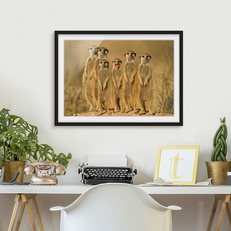 

Póster enmarcado - Meerkat Family Dimensión LxA: 30cm x 40cm, Marco: Negro