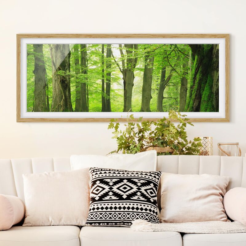 

Póster enmarcado - Mighty Beech Trees Dimensión LxA: 50cm x 130cm, Marco: Roble