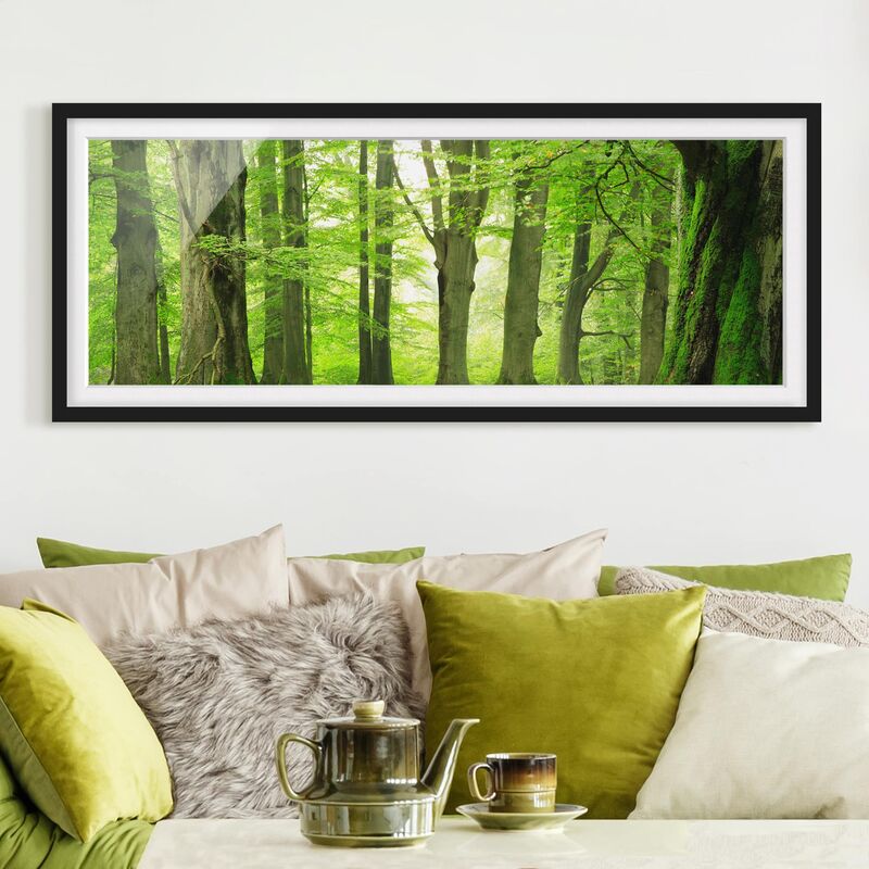 

Póster enmarcado - Mighty Beech Trees Dimensión LxA: 50cm x 130cm, Marco: Negro