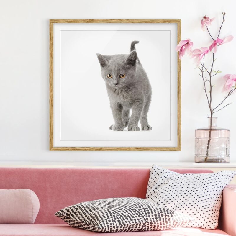 

Póster enmarcado - Mini Kitty Dimensión LxA: 70cm x 70cm, Marco: Roble