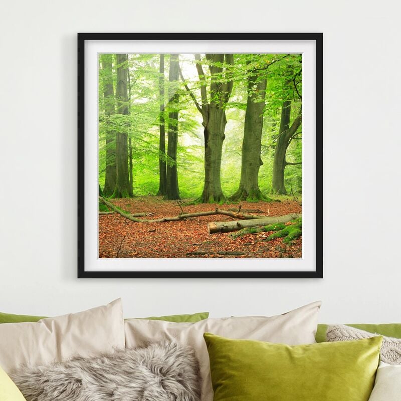 

Póster enmarcado - Mighty Beech Trees Dimensión LxA: 20cm x 20cm, Marco: Negro