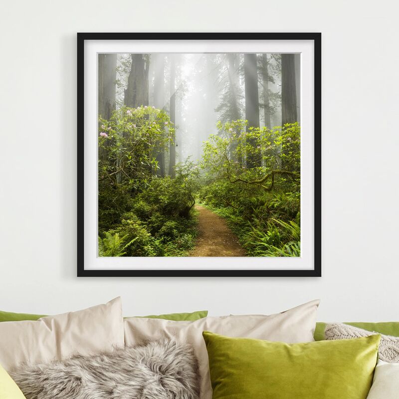 

Póster enmarcado - Misty Forest Path Dimensión LxA: 20cm x 20cm, Marco: Negro