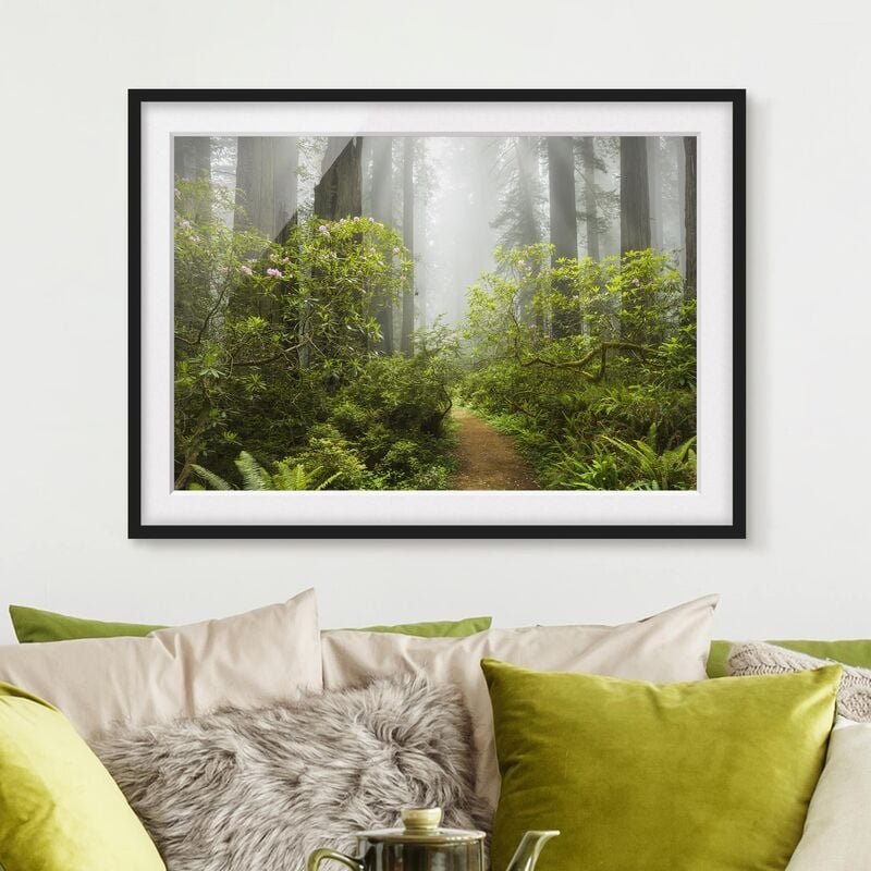 

Póster enmarcado - Misty Forest Path Dimensión LxA: 50cm x 70cm, Marco: Negro