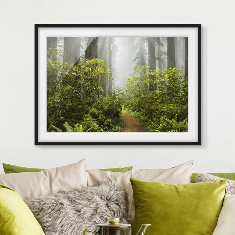 

Póster enmarcado - Misty Forest Path Dimensión LxA: 30cm x 40cm, Marco: Negro