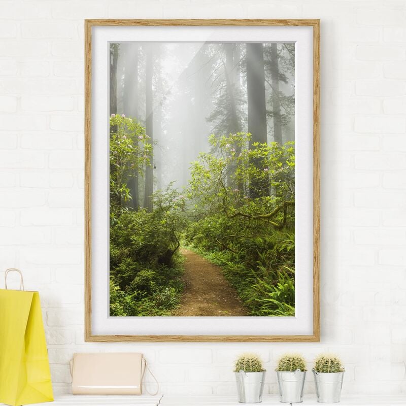 

Póster enmarcado - Misty Forest Path Dimensión LxA: 24cm x 18cm, Marco: Roble