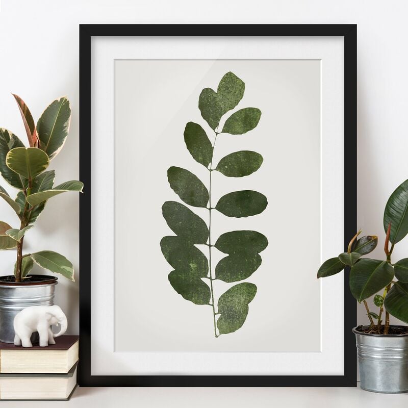 

Póster enmarcado - Mondo vegetale grafico - Verde scuro Dimensión LxA: 100cm x 70cm, Marco: Negro