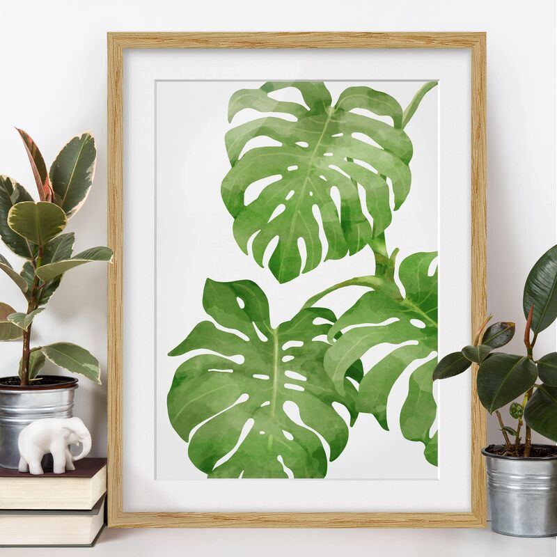 

Póster enmarcado - Monstera Watercolor Dimensión LxA: 100cm x 70cm, Marco: Roble