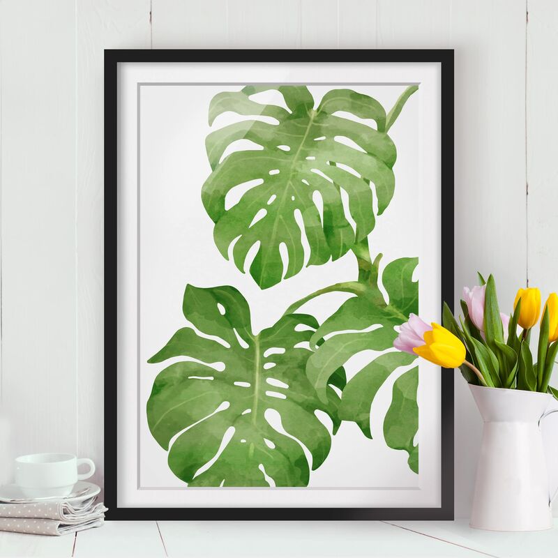 

Póster enmarcado - Monstera Watercolor Dimensión LxA: 100cm x 70cm, Marco: Negro