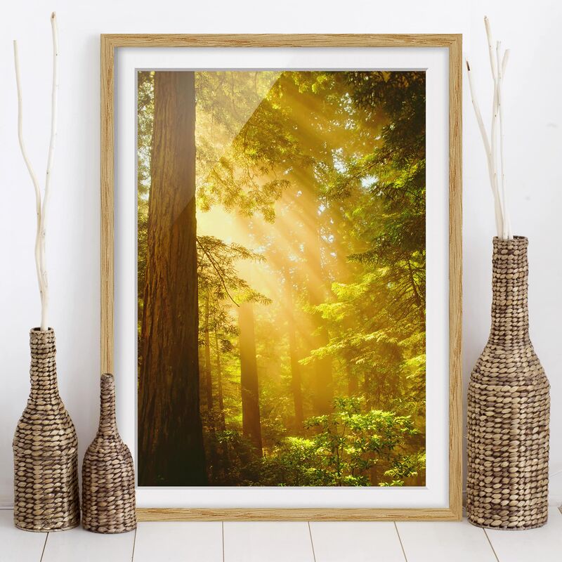 

Póster enmarcado - Morning Gold Dimensión LxA: 100cm x 70cm, Marco: Roble