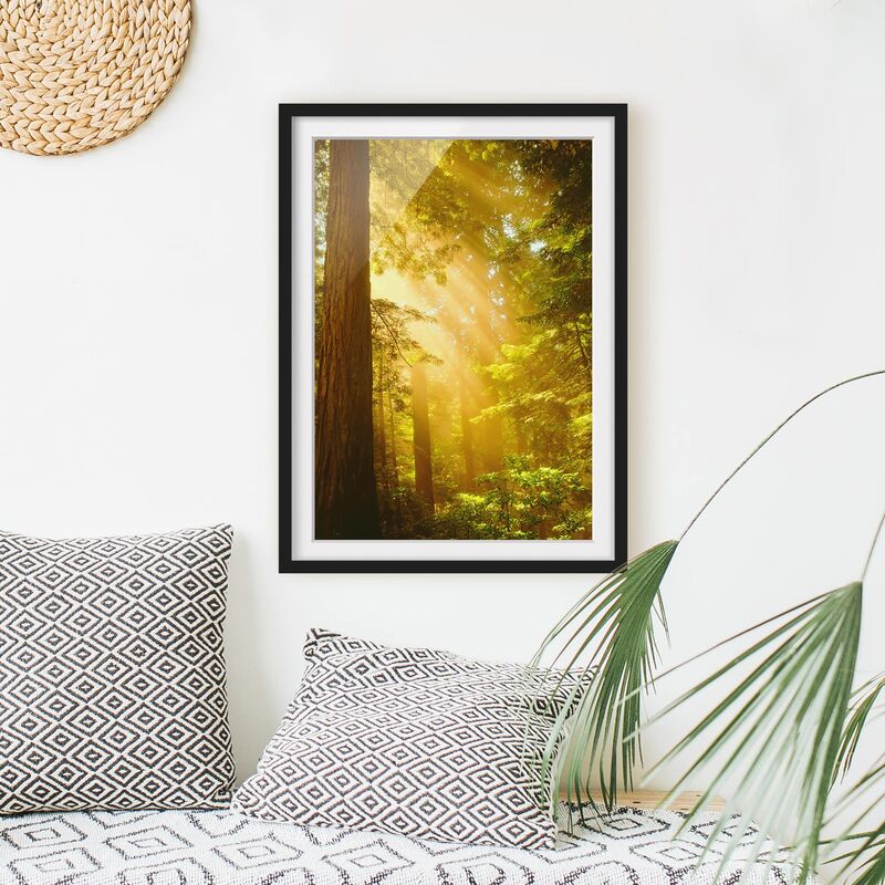 

Póster enmarcado - Morning Gold Dimensión LxA: 55cm x 40cm, Marco: Negro