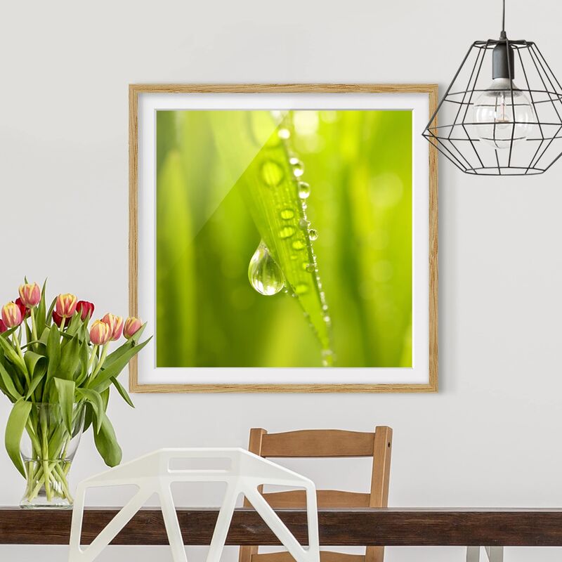 

Póster enmarcado - Morning Dew Dimensión LxA: 30cm x 30cm, Marco: Roble