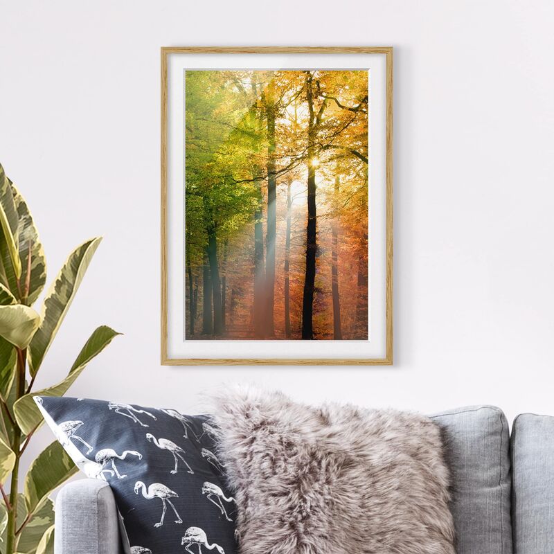 

Póster enmarcado - Morning Light Dimensión LxA: 100cm x 70cm, Marco: Roble