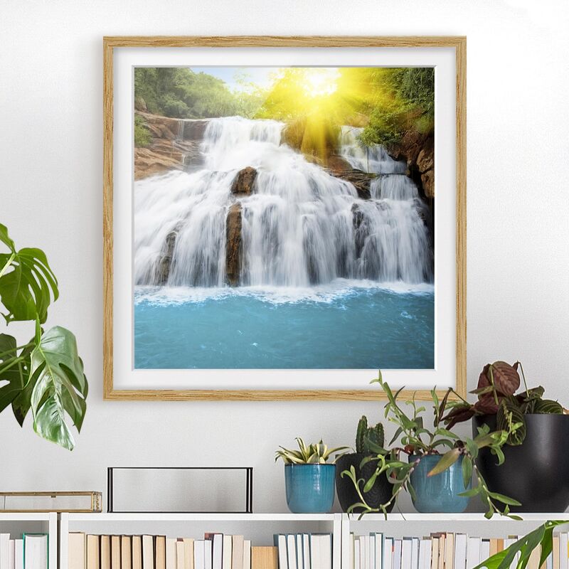 

Póster enmarcado - Morning In Paradise Dimensión LxA: 50cm x 50cm, Marco: Roble