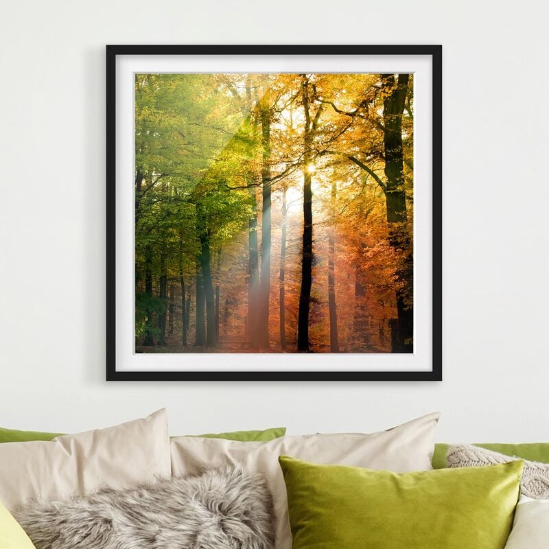 

Póster enmarcado - Morning Light Dimensión LxA: 70cm x 70cm, Marco: Negro