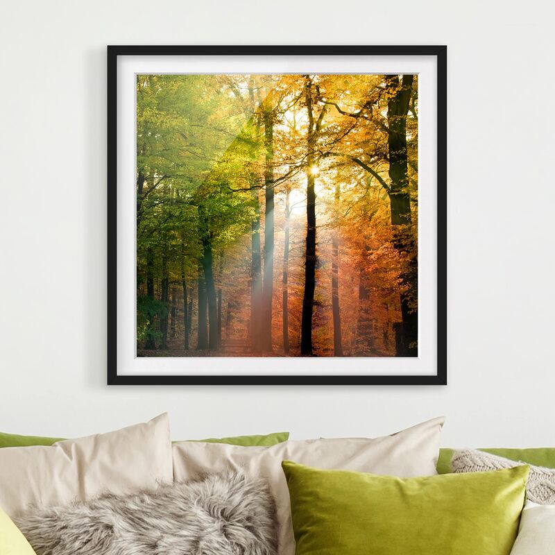 

Póster enmarcado - Morning Light Dimensión LxA: 20cm x 20cm, Marco: Negro
