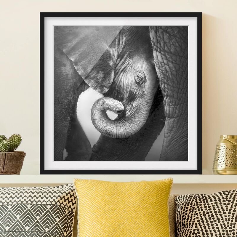 

Póster enmarcado - Mother's Love Dimensión LxA: 70cm x 70cm, Marco: Negro