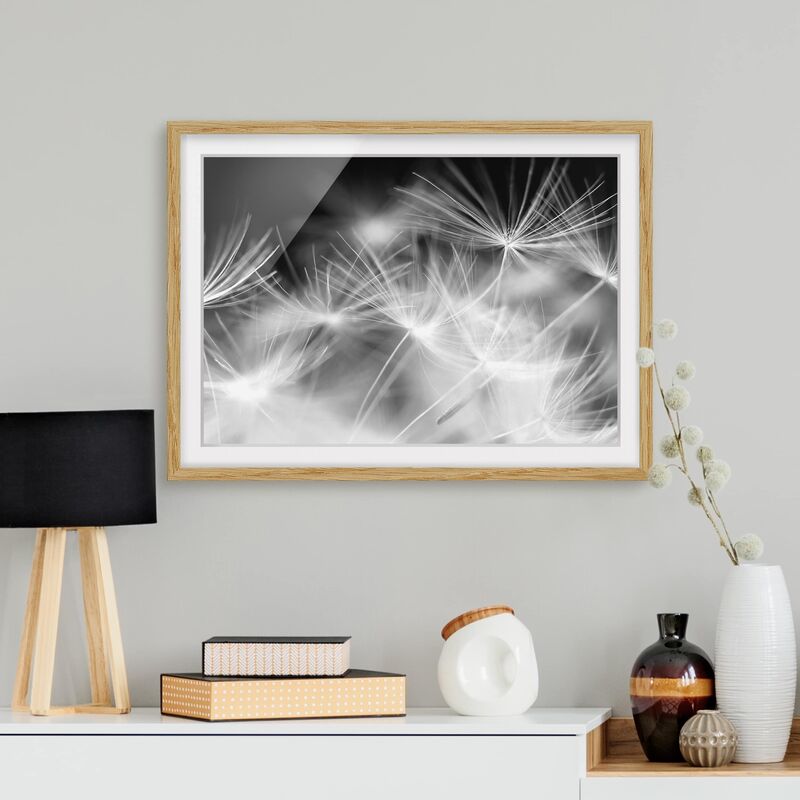 

Póster enmarcado - Moving Dandelions Close Up On Black Background Dimensión LxA: 70cm x 100cm, Marco: Roble