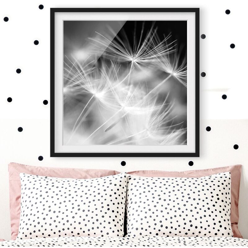 

Póster enmarcado - Moving Dandelions Close Up On Black Background Dimensión LxA: 50cm x 50cm, Marco: Negro