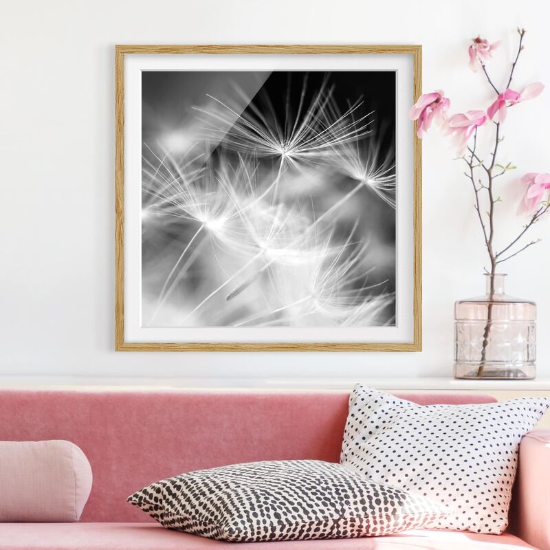 

Póster enmarcado - Moving Dandelions Close Up On Black Background Dimensión LxA: 20cm x 20cm, Marco: Roble