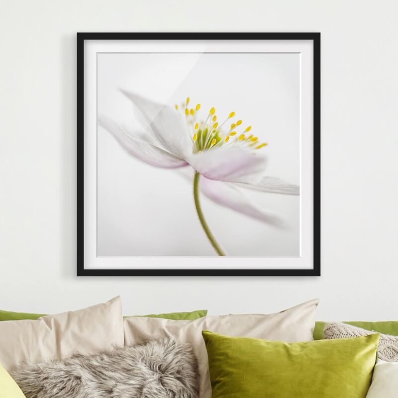 

Póster enmarcado - Nemorosa Dimensión LxA: 30cm x 30cm, Marco: Negro