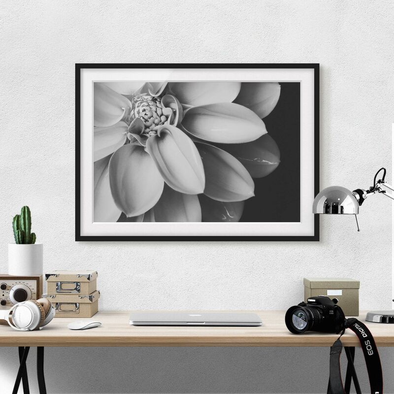 

Póster enmarcado - Nel cuore di una dalia in bianco e nero Dimensión LxA: 70cm x 100cm, Marco: Negro