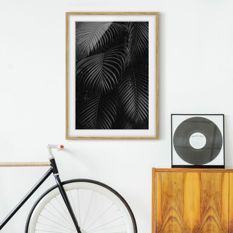 

Póster enmarcado - Nero Palm Fronde Dimensión LxA: 100cm x 70cm, Marco: Roble