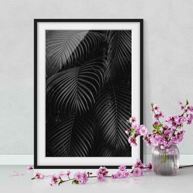 

Póster enmarcado - Nero Palm Fronde Dimensión LxA: 40cm x 30cm, Marco: Negro