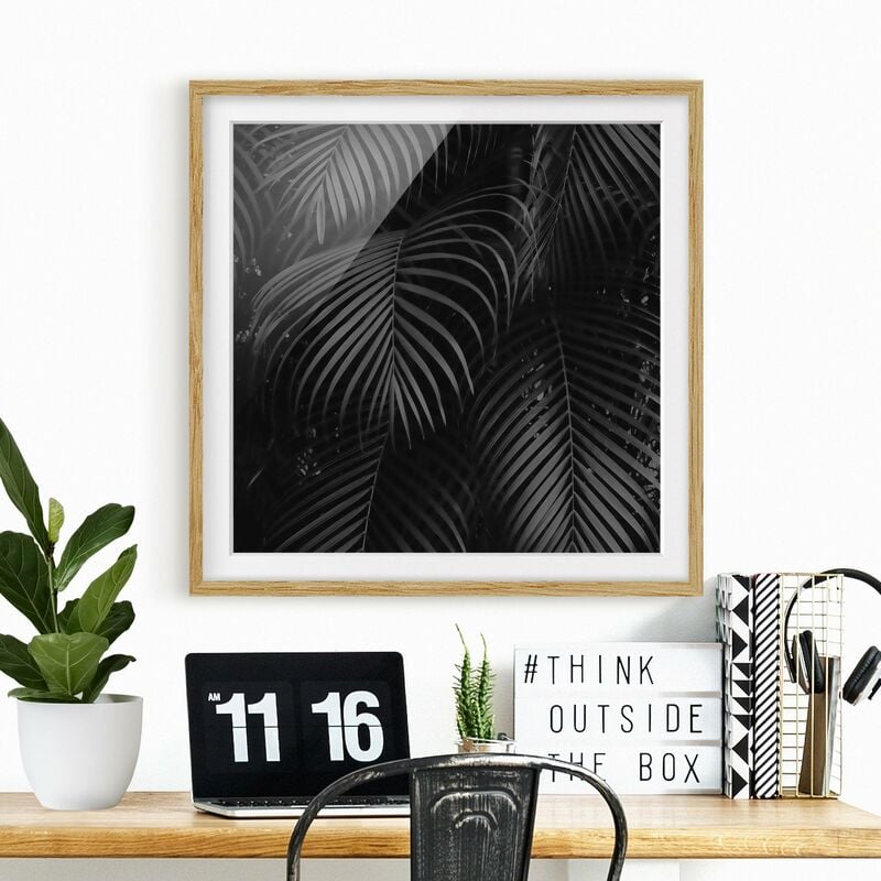 

Póster enmarcado - Nero Palm Fronde Dimensión LxA: 50cm x 50cm, Marco: Roble
