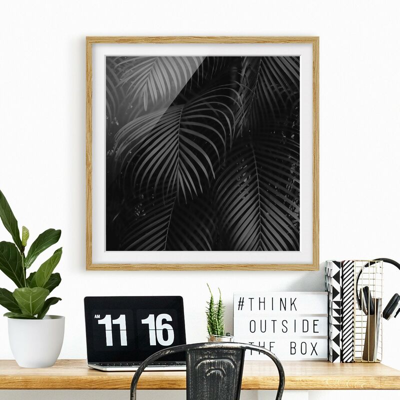 

Póster enmarcado - Nero Palm Fronde Dimensión LxA: 20cm x 20cm, Marco: Roble