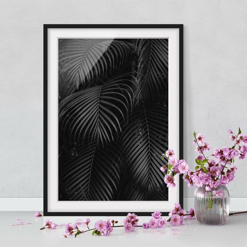 

Póster enmarcado - Nero Palm Fronde Dimensión LxA: 70cm x 50cm, Marco: Negro