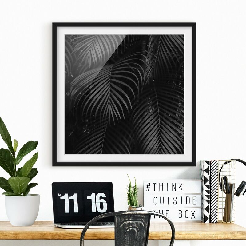 

Póster enmarcado - Nero Palm Fronde Dimensión LxA: 20cm x 20cm, Marco: Negro