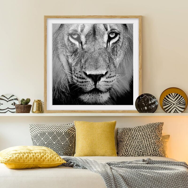 

Póster enmarcado - No.273 Old Lion Dimensión LxA: 20cm x 20cm, Marco: Roble